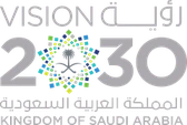 رؤية المملكة 2030